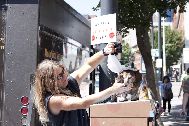 Seattle Street Photography: Weiner dog Shower