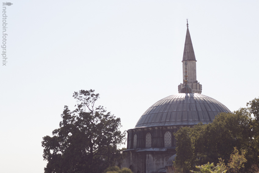 Istanbul - 24082012 (91 of 328)