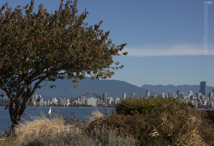 Autumn in Vancouver by Ned Tobin